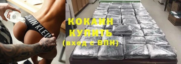 тгк Ельня