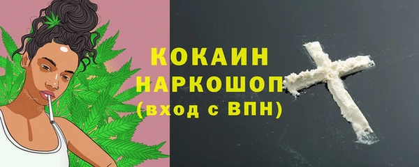 тгк Ельня