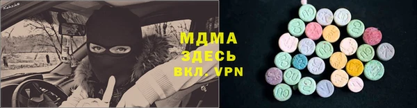 тгк Ельня