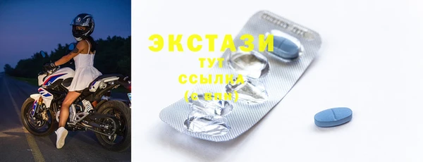 тгк Ельня