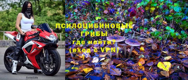 ешки Елизово